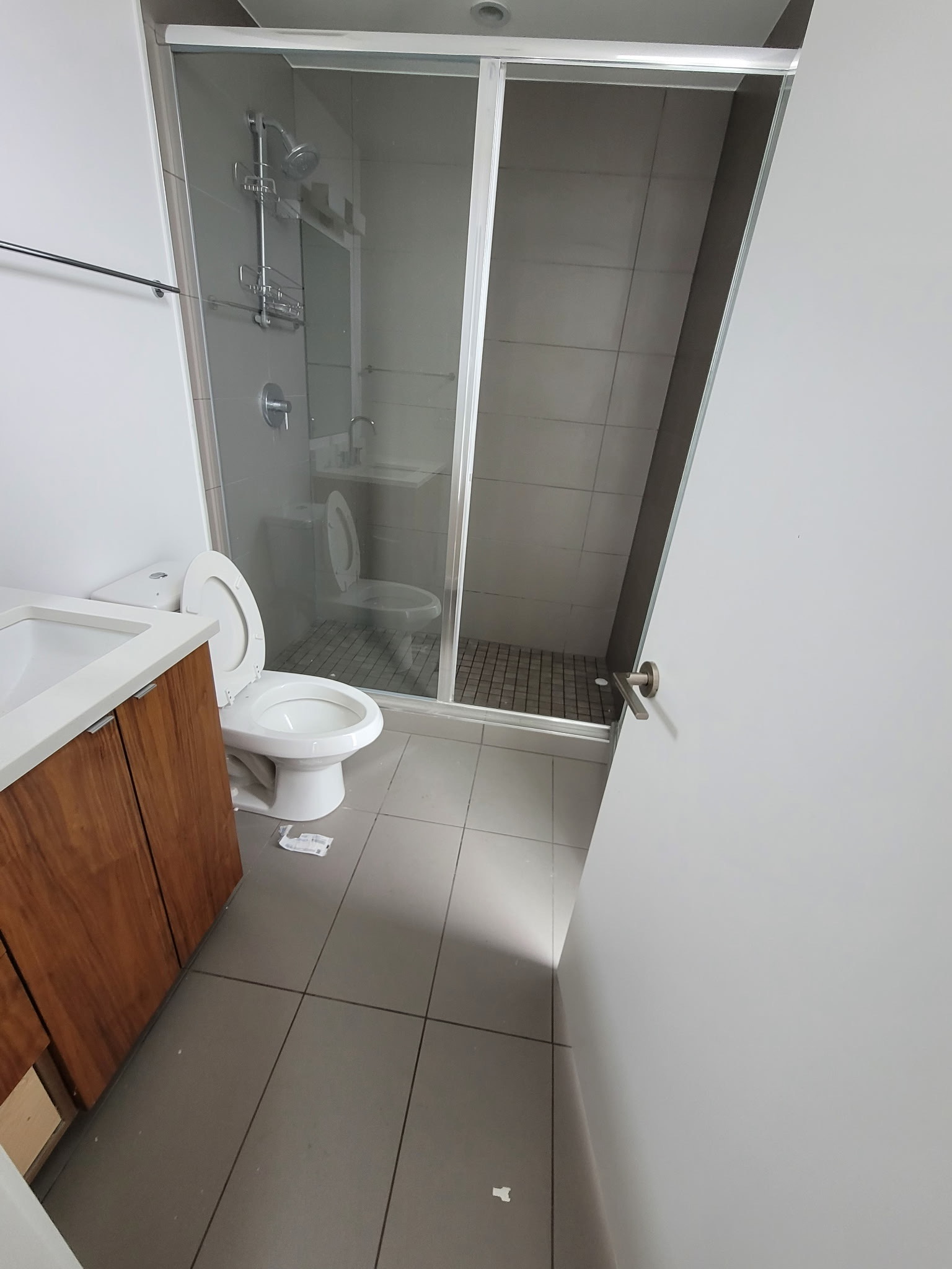 Bathroom Renovation Project